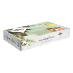 plant light care 11cm gris glacier